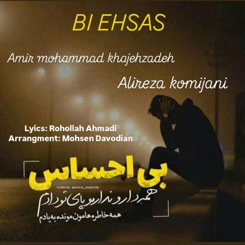 دانلود آهنگ امیر محمد خواجه زاده و علیرضا کمیجانی به نام بی احساس